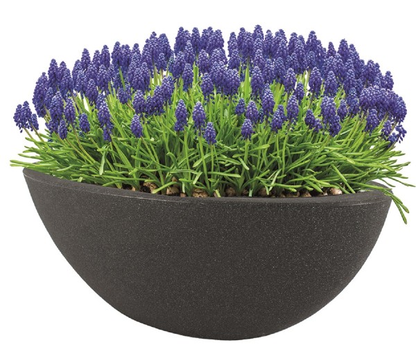 Pflanzschale Blumenschale Blumentopf Pflanzentopf 20x52x23 cm frostsicher Neu